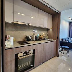 Avenue South Residence (D3), Apartment #585743241